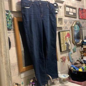 Sears blueprint jeans